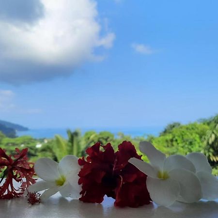 Cella Villa Anse a La Mouche Kültér fotó