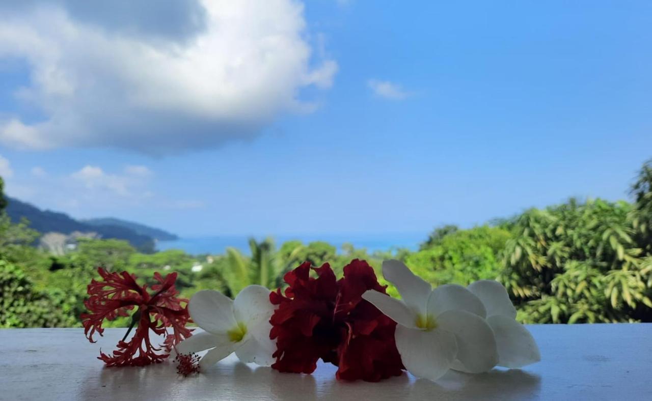 Cella Villa Anse a La Mouche Kültér fotó